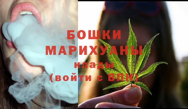 эйфоретик Арсеньев