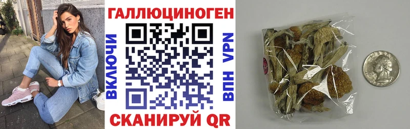 Галлюциногенные грибы прущие грибы  купить наркотики сайты  Армянск 